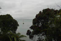Kawhia